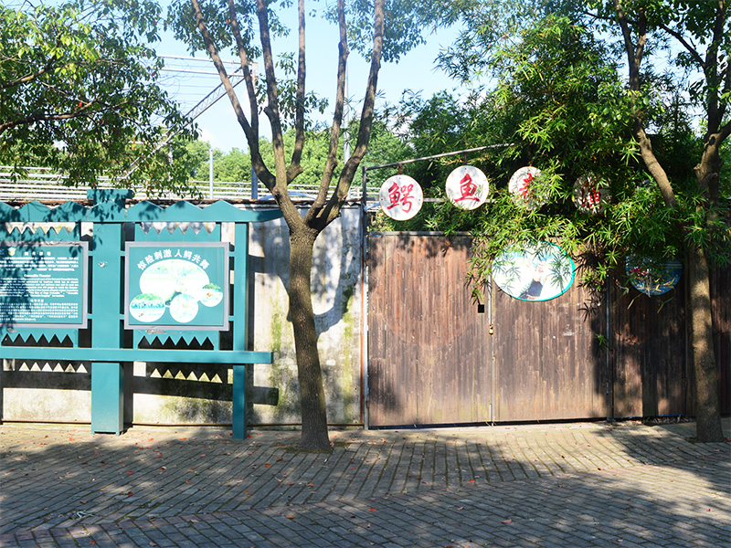 鱷魚(yú)養(yǎng)殖區(qū)